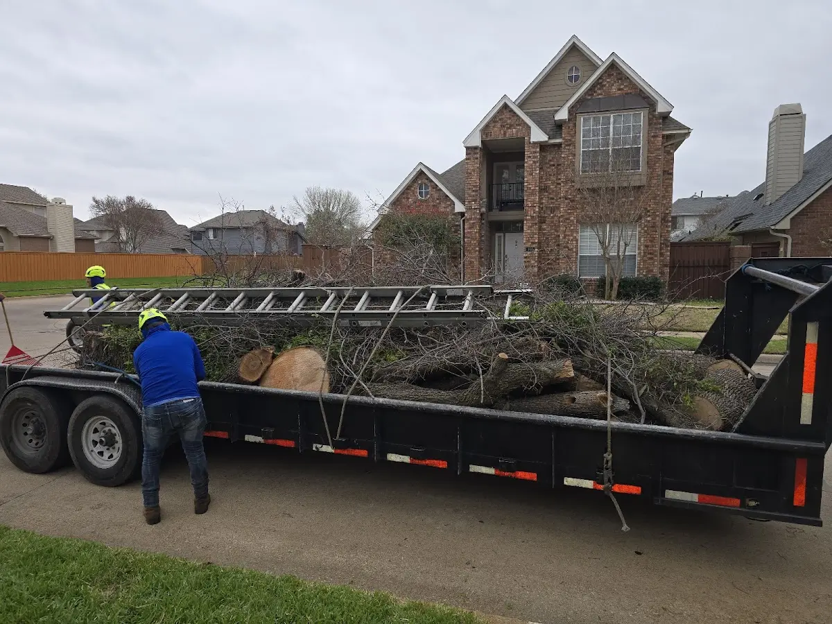 Expert Tree Fertilization with proper safety equipment in Powersite